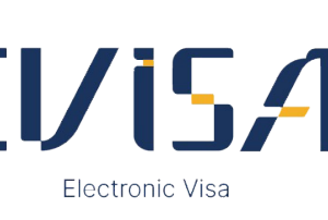 Electronic Visa 60 days 3 Person